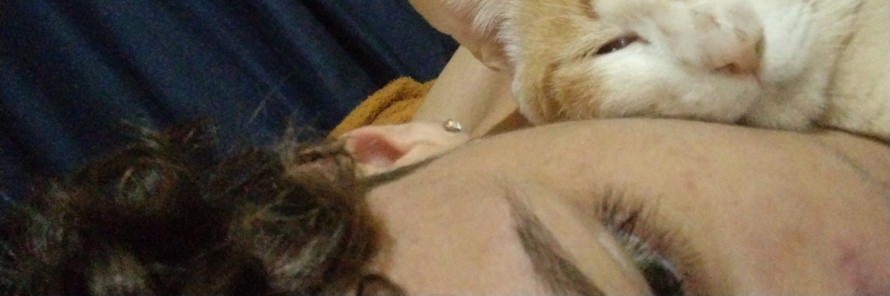 moraeszinho
