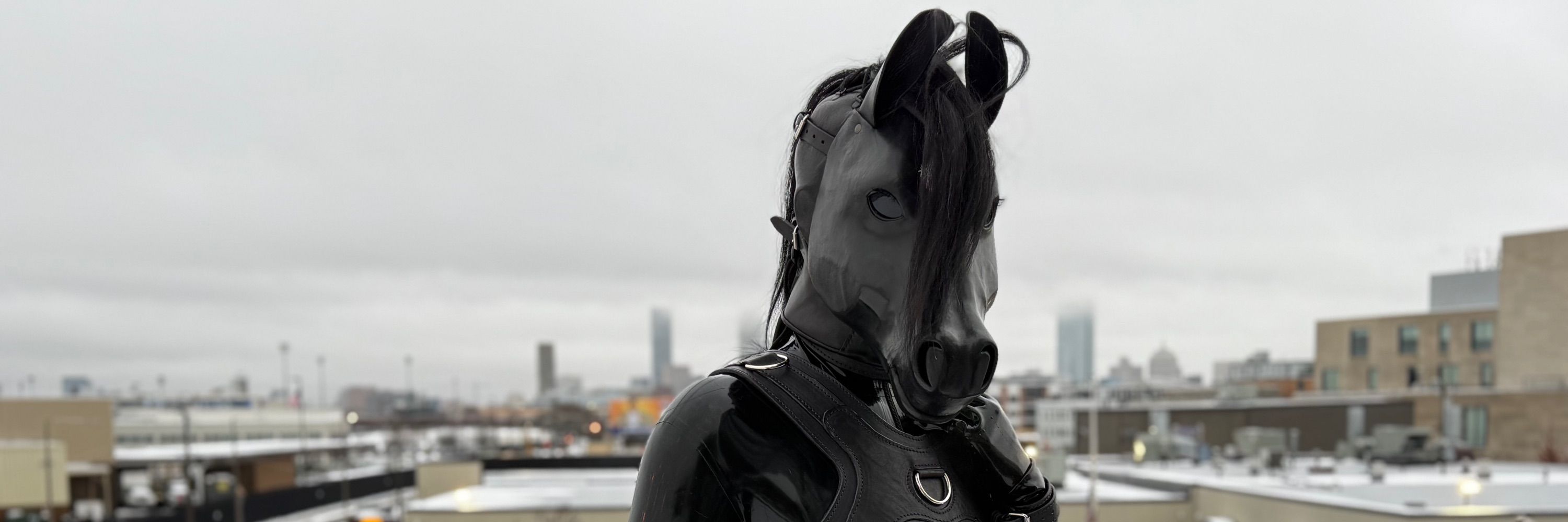 🐴Chip🐴