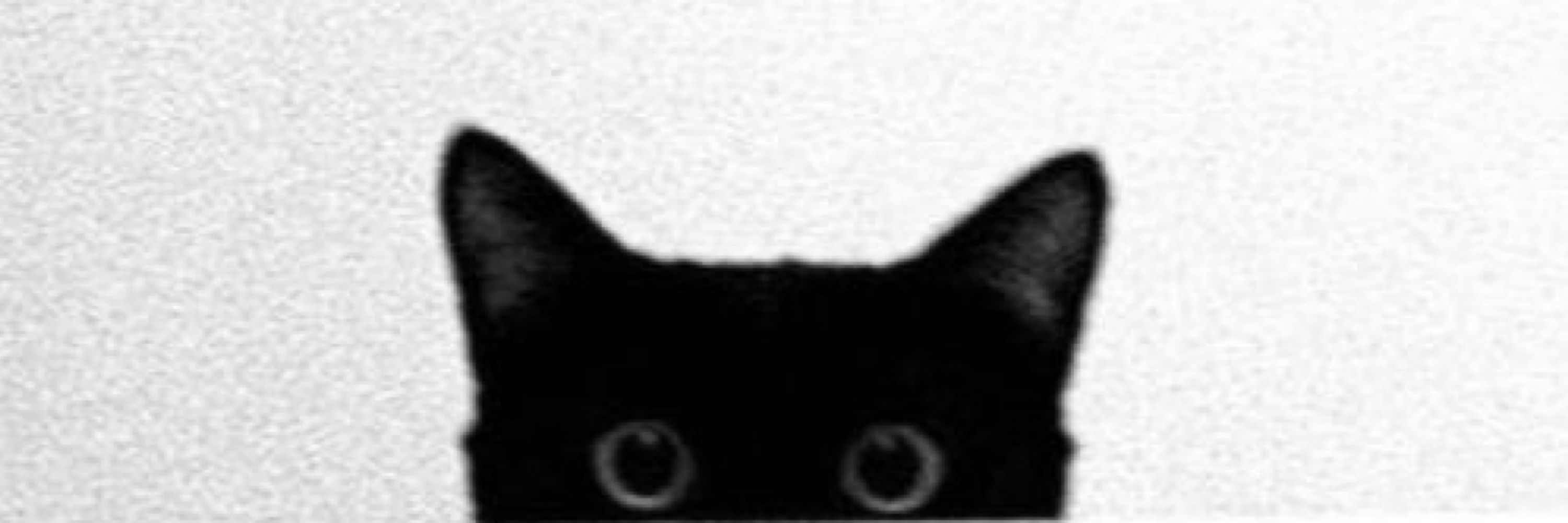 I like cats