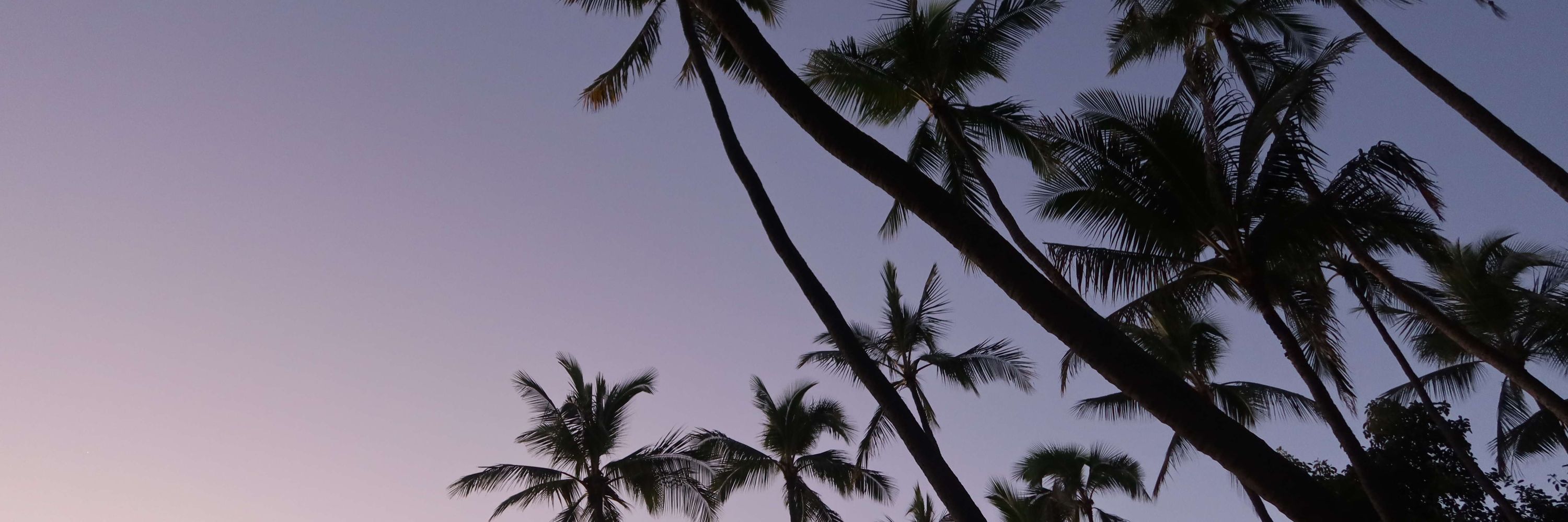 Jetset Seeker • Brian & Lauren • Travel Bloggers