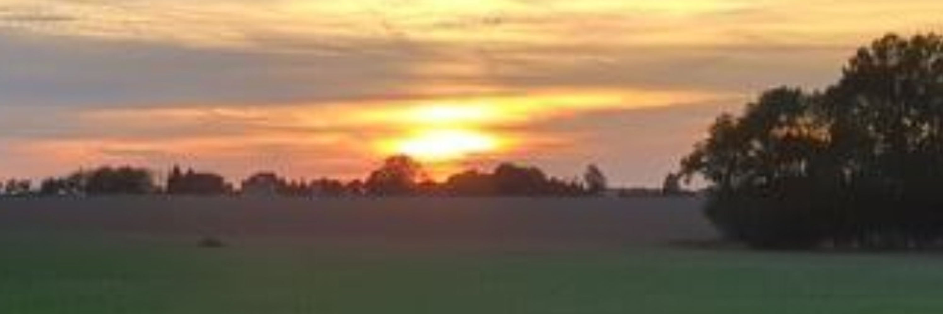 vonSelbst