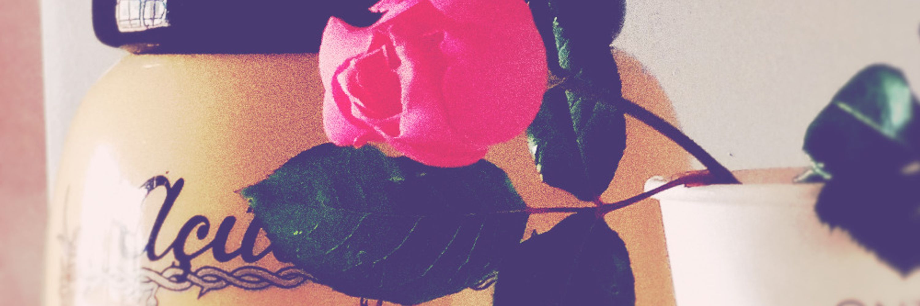 sara - poesia chata