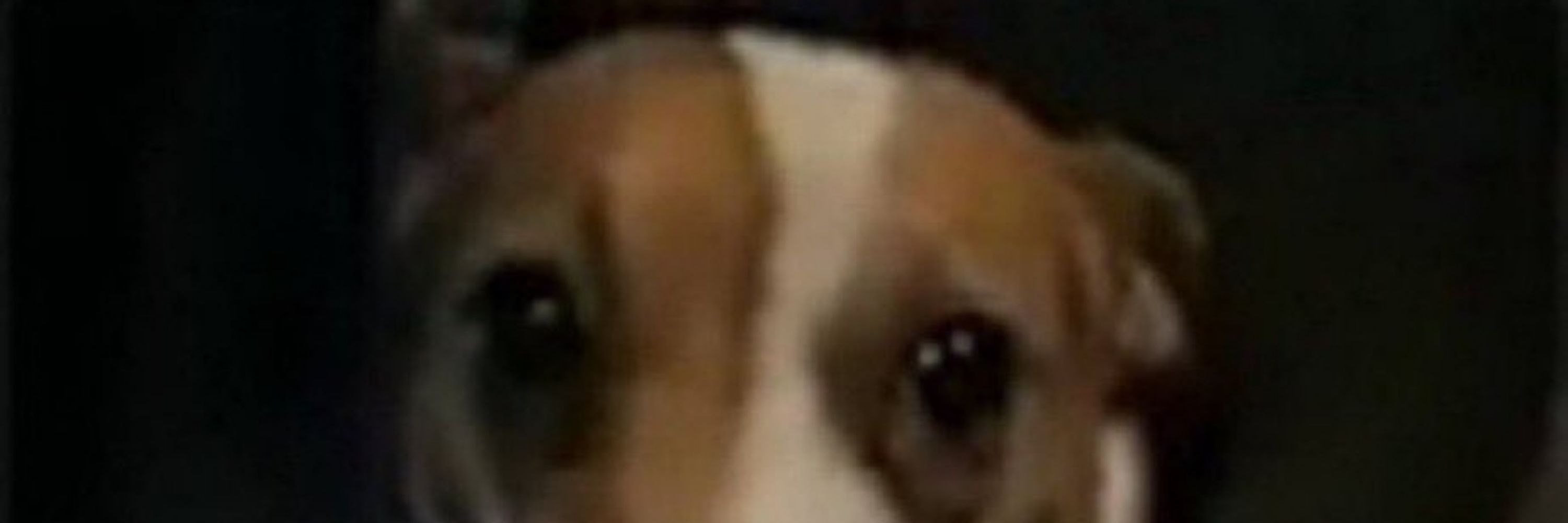 ♡