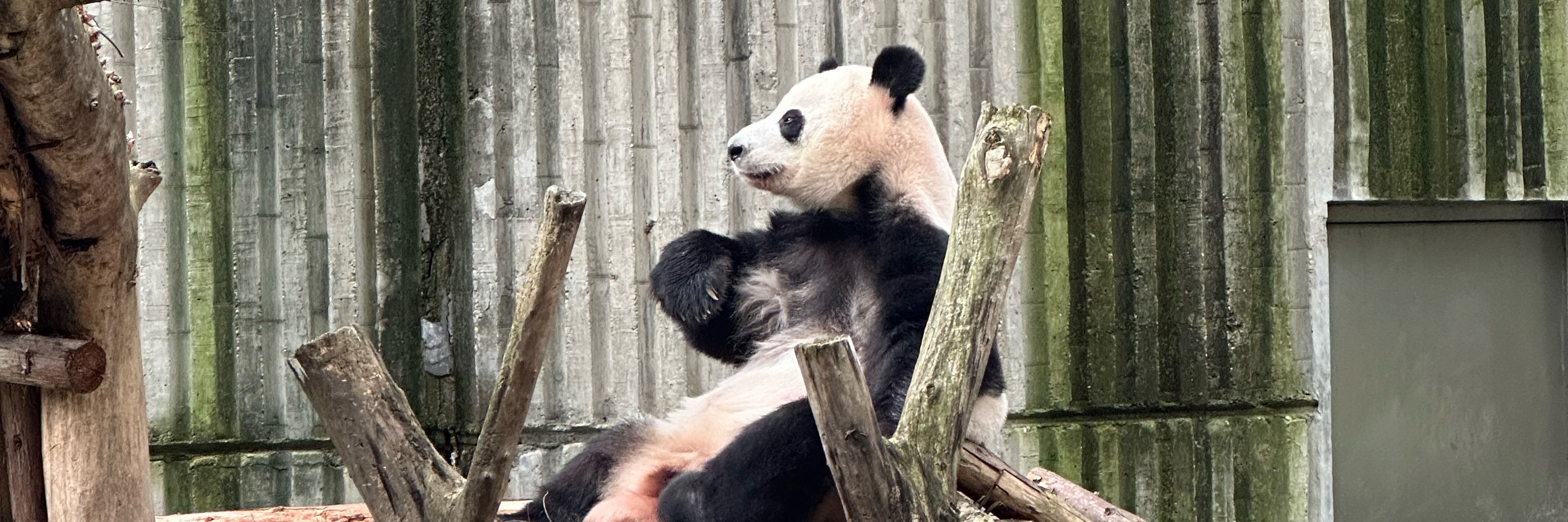 我的风男快乐滑