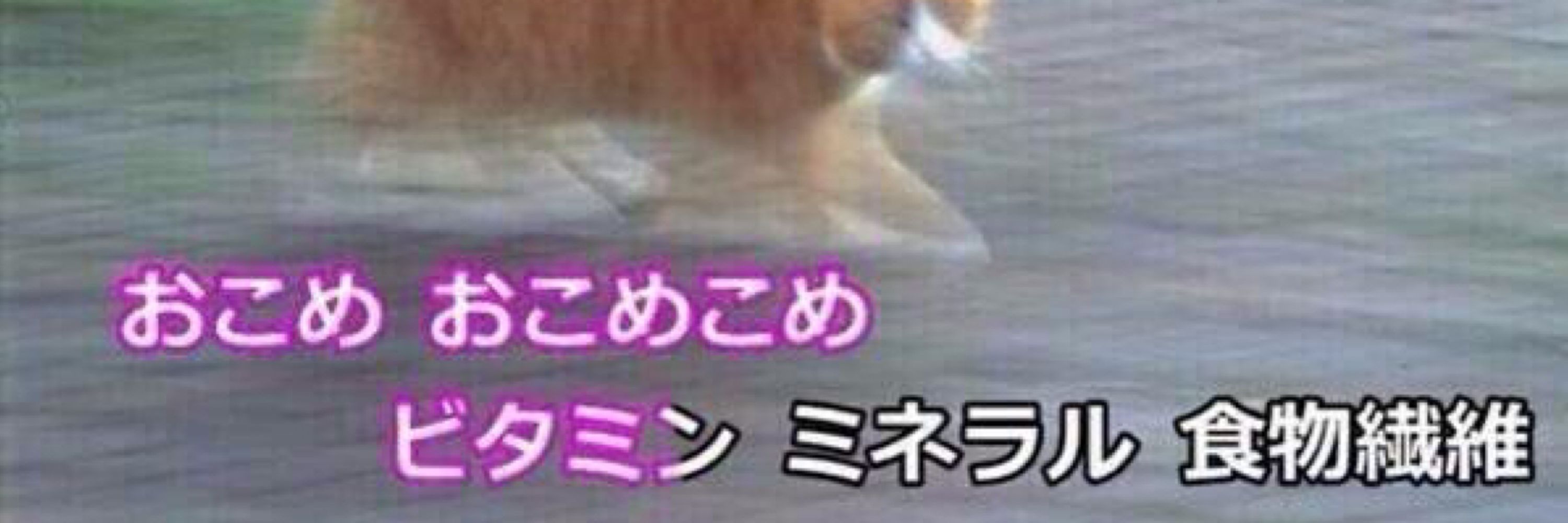 ゆ