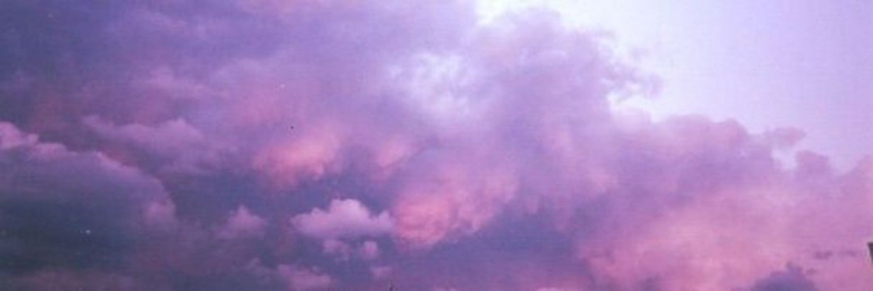 D 💜