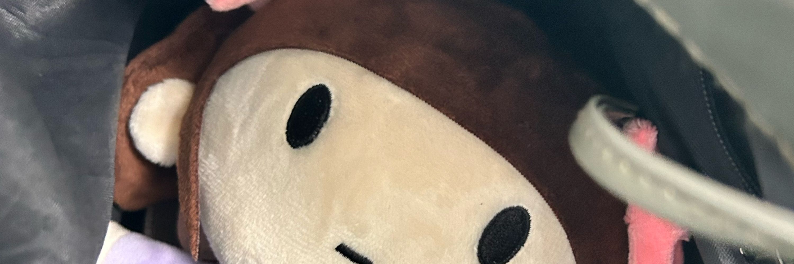 かろう。