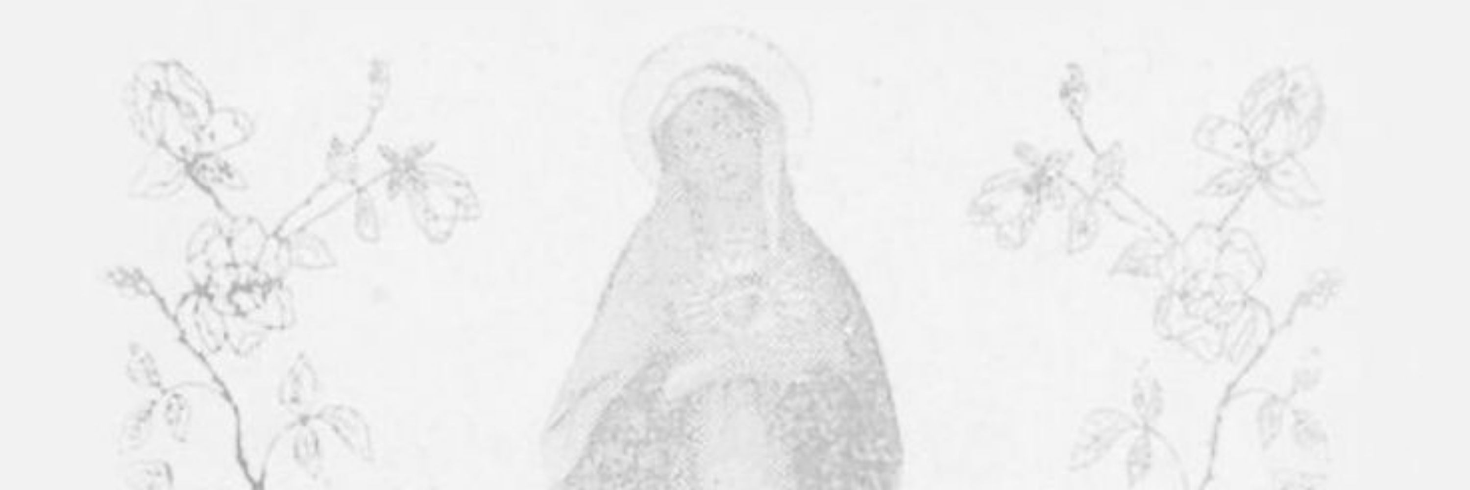 NaNa 🇻🇦