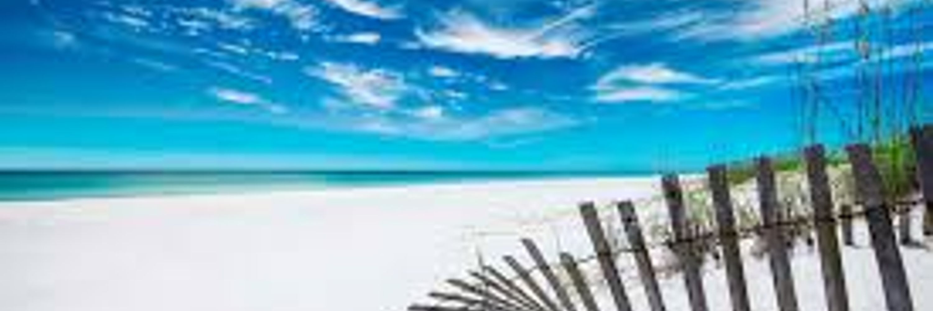 Emerald Coast Indivisible