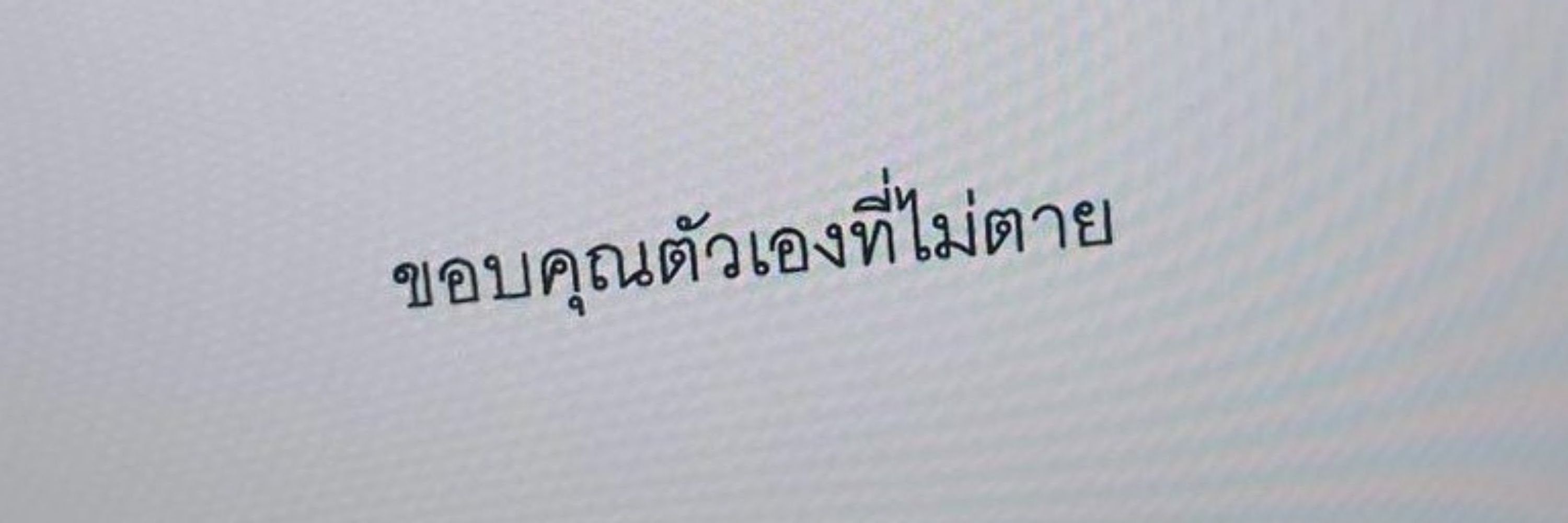 แมวเป้า