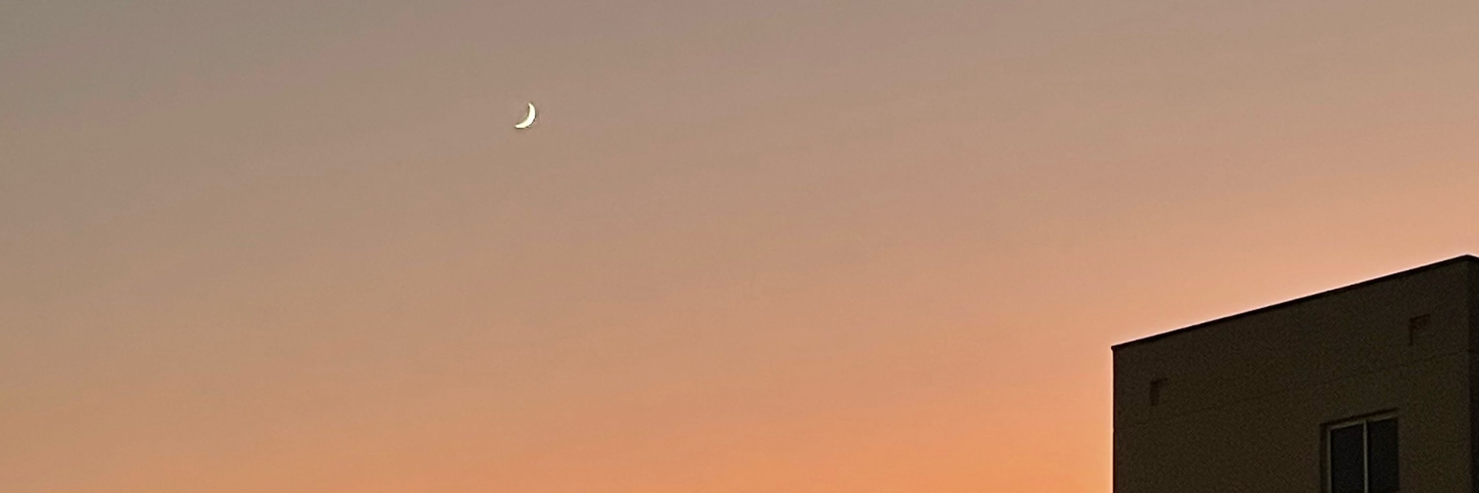 duda 🌙