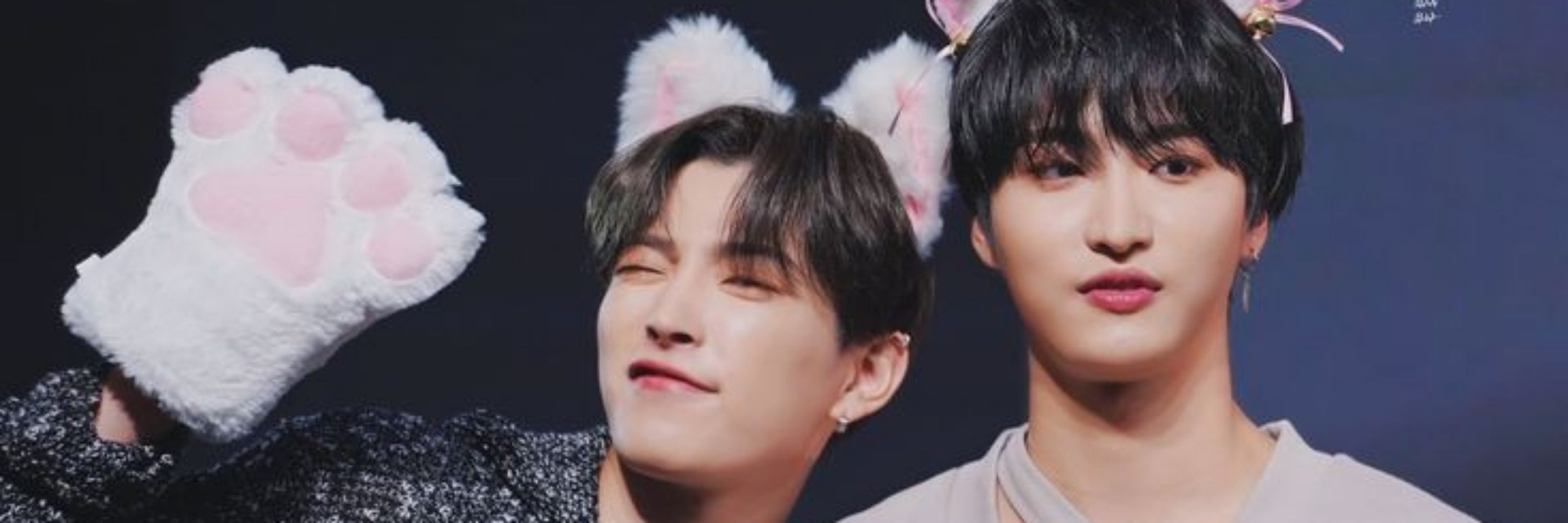 ⋆｡zaa*🐰⋆ฺ