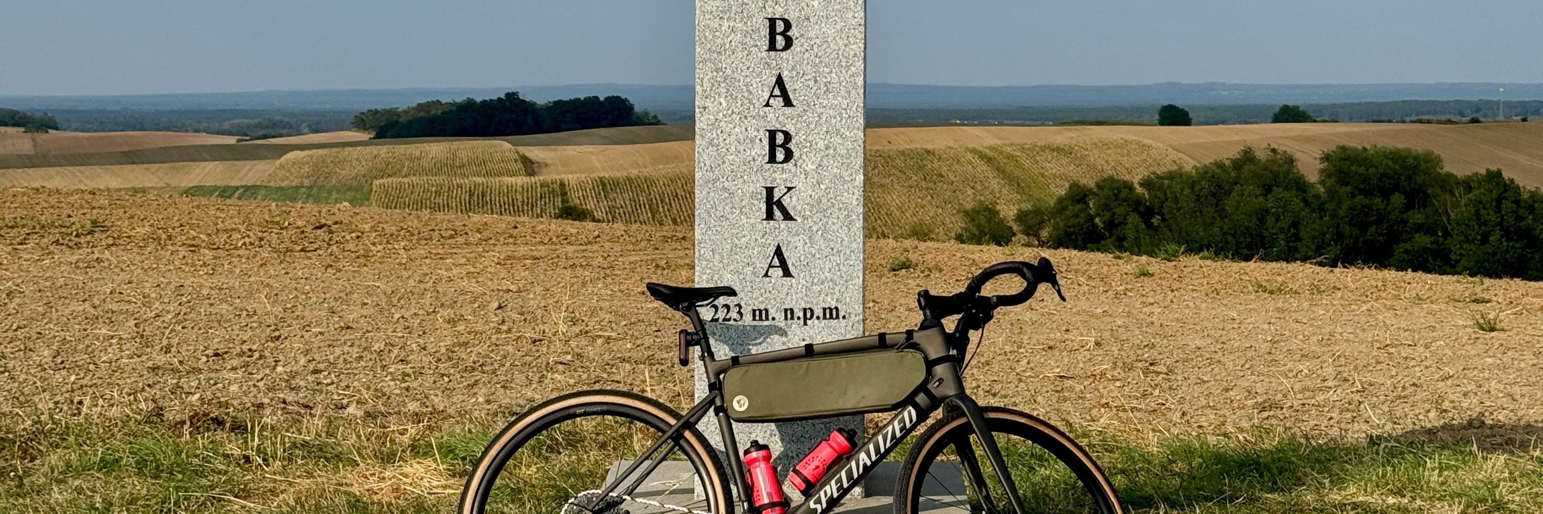 Bartosz Rega