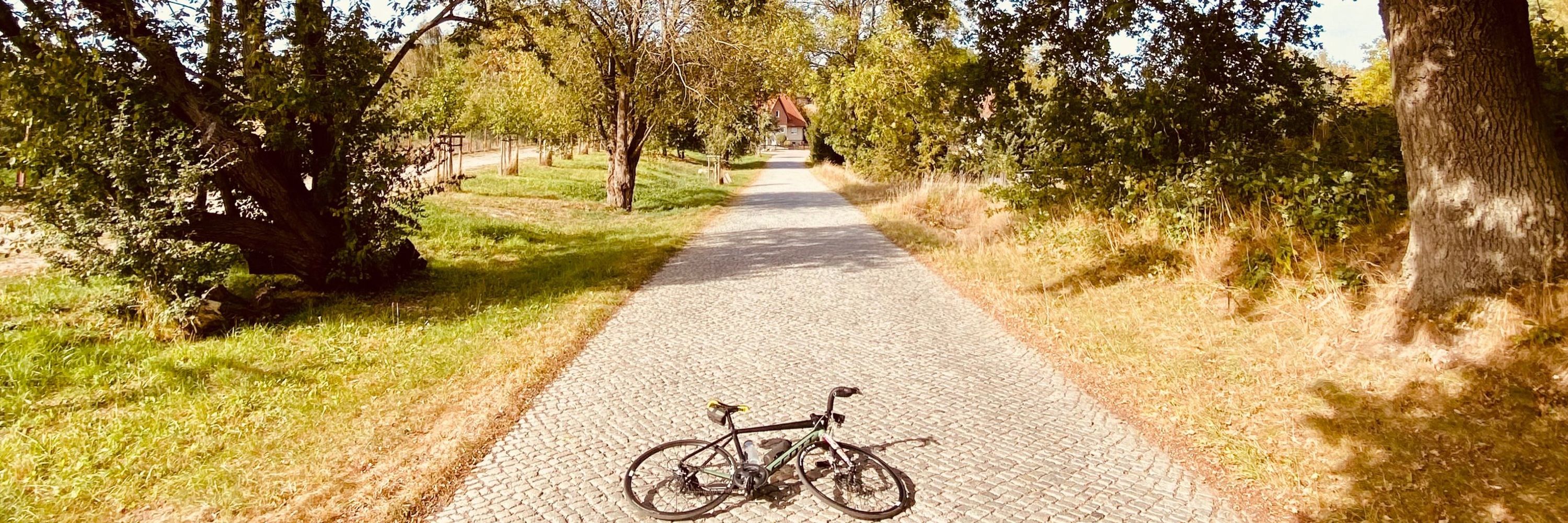 Der Kaeule