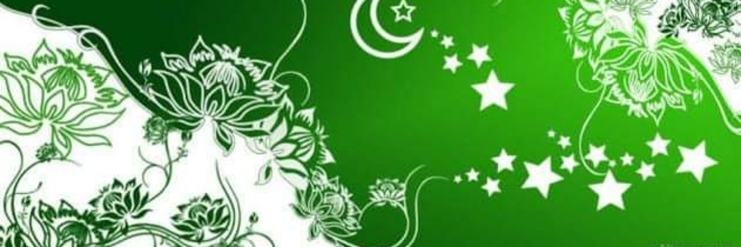 Hammad Bhutto