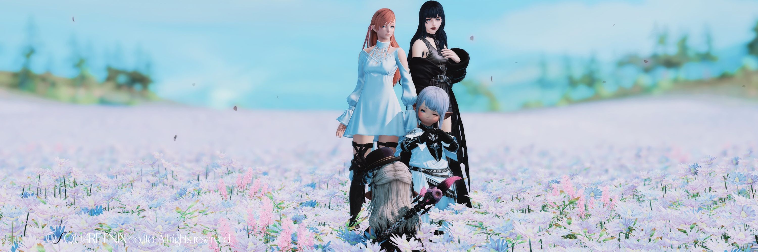 ナツメ