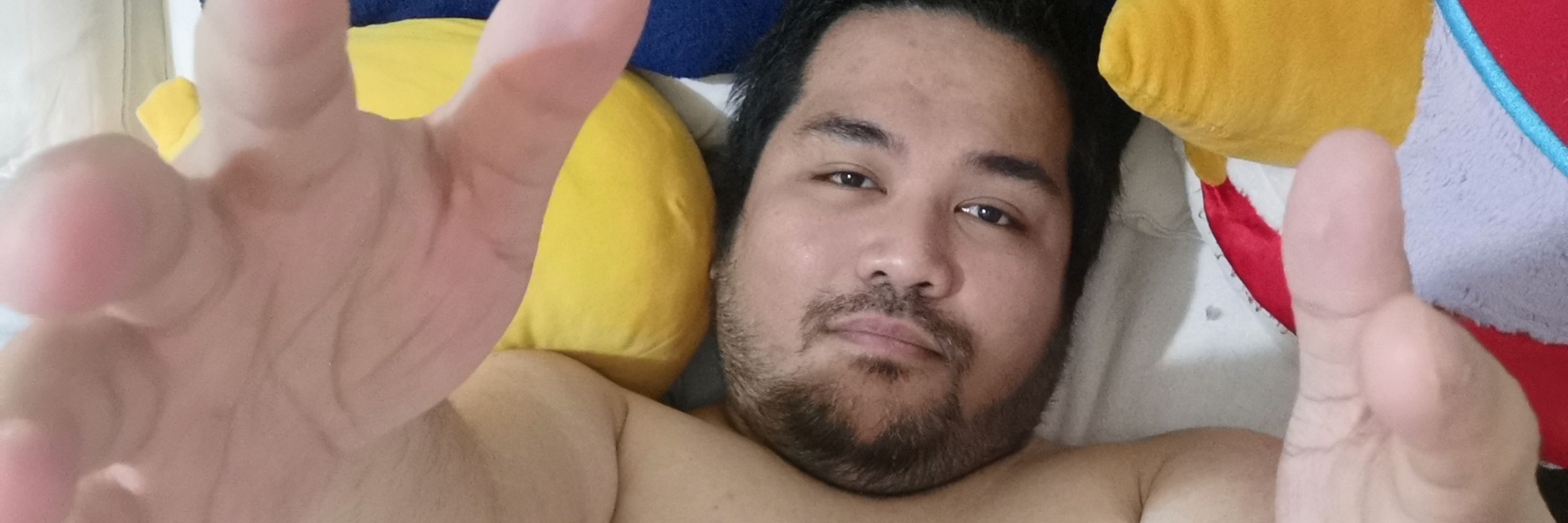 apocketbear