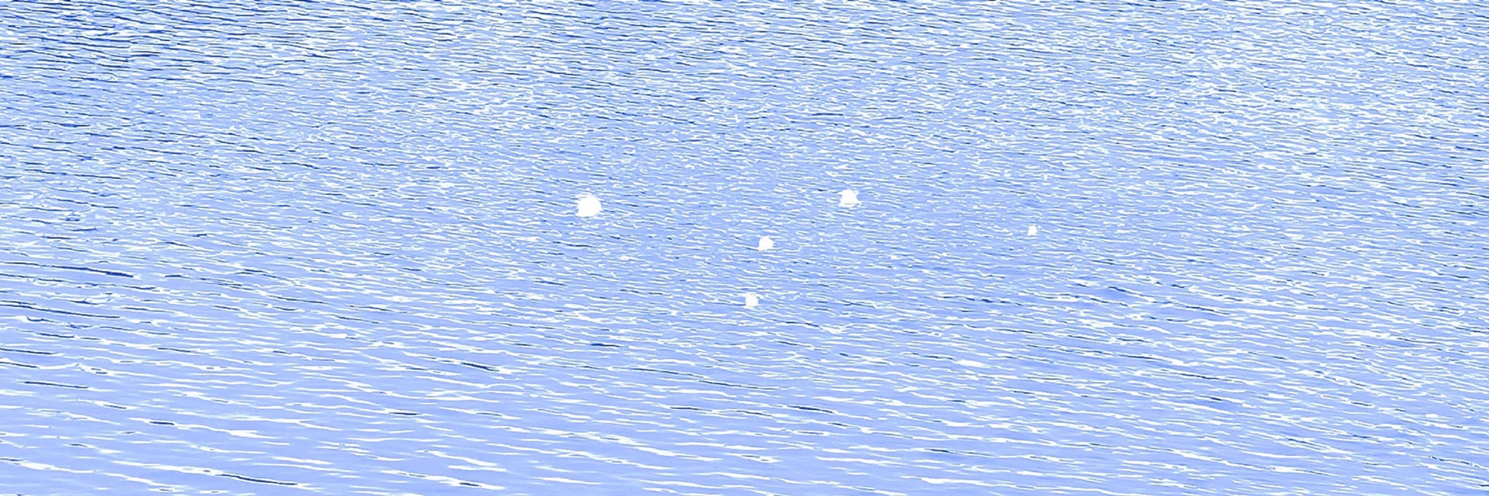 𝘼𝙈