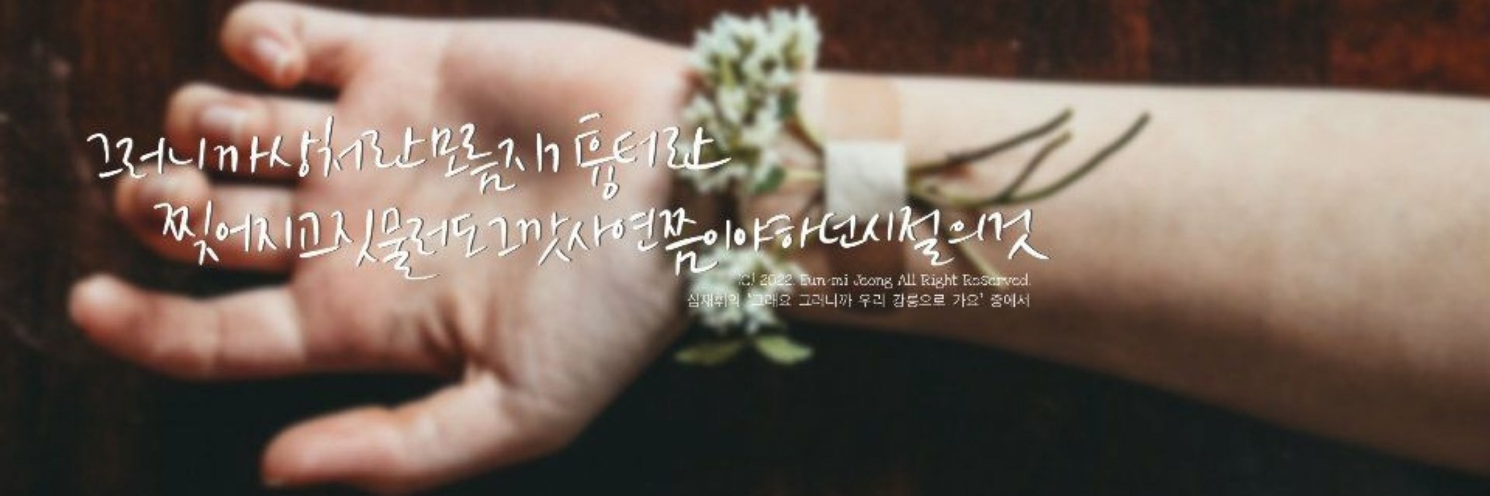 보라💜