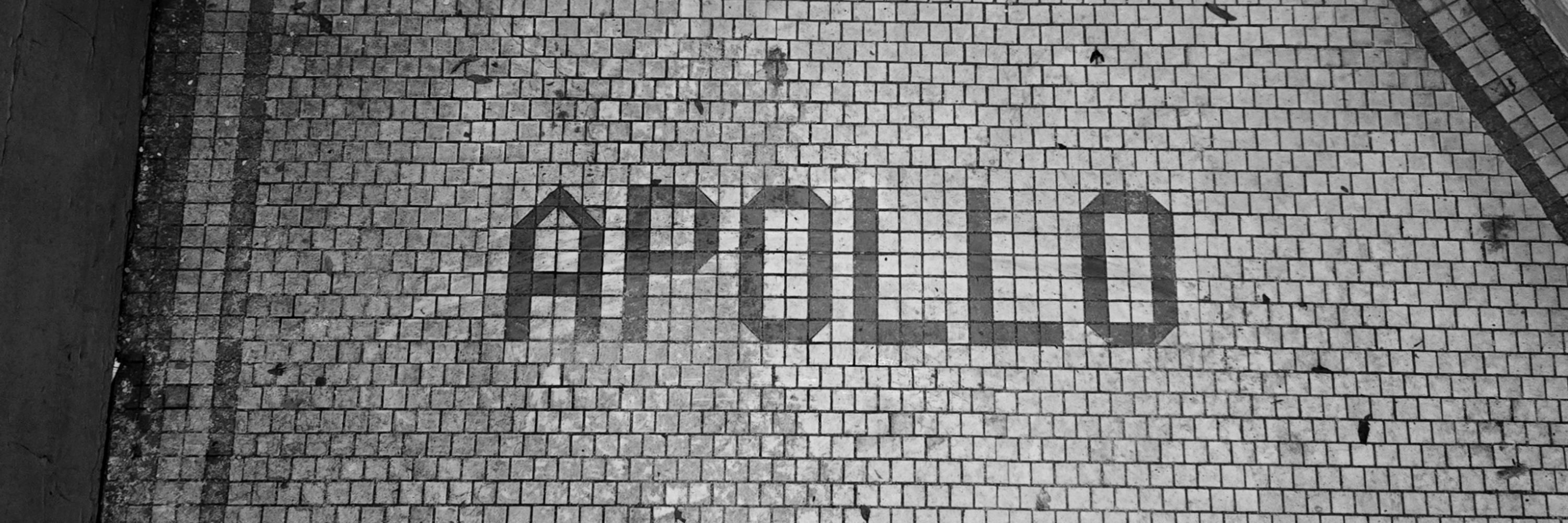 Apollo Fox