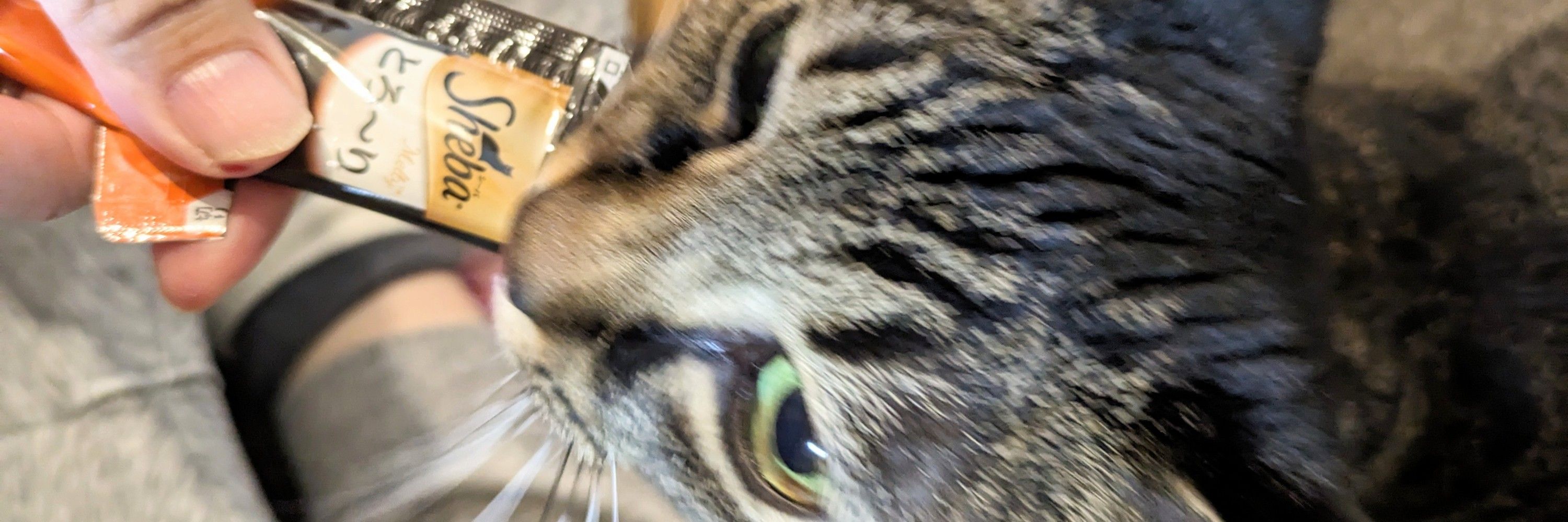 まきのん