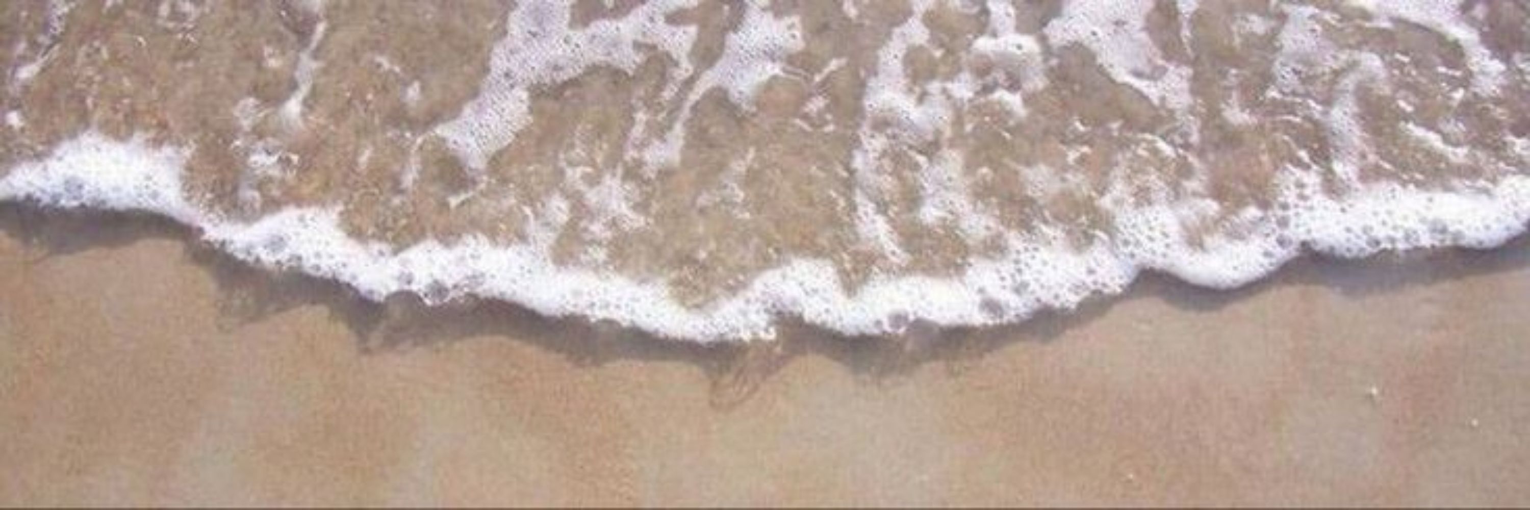 𓃠naræ