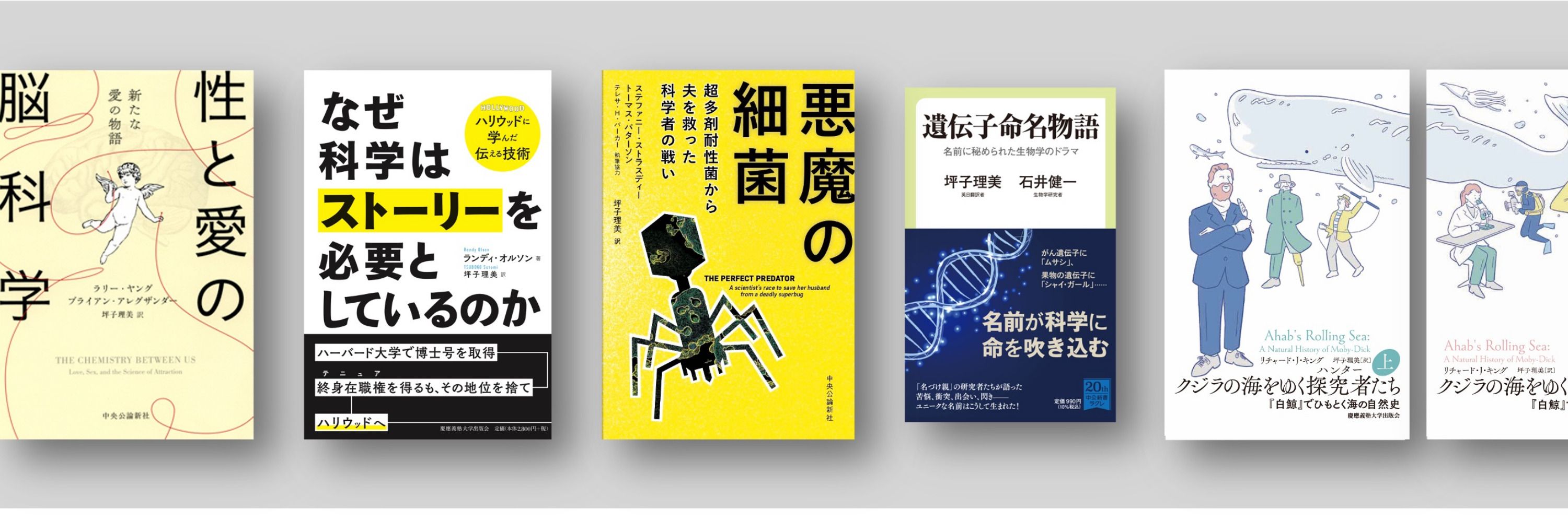 坪子理美｜TSUBOKO Satomi, PhD