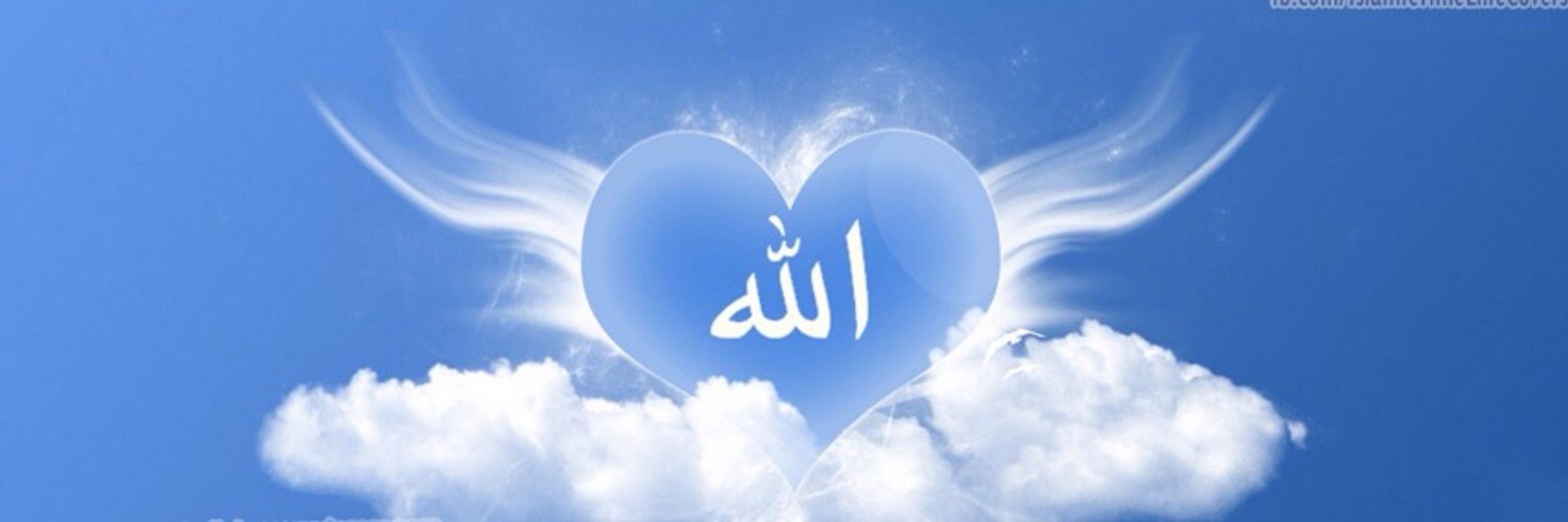 علی رضا