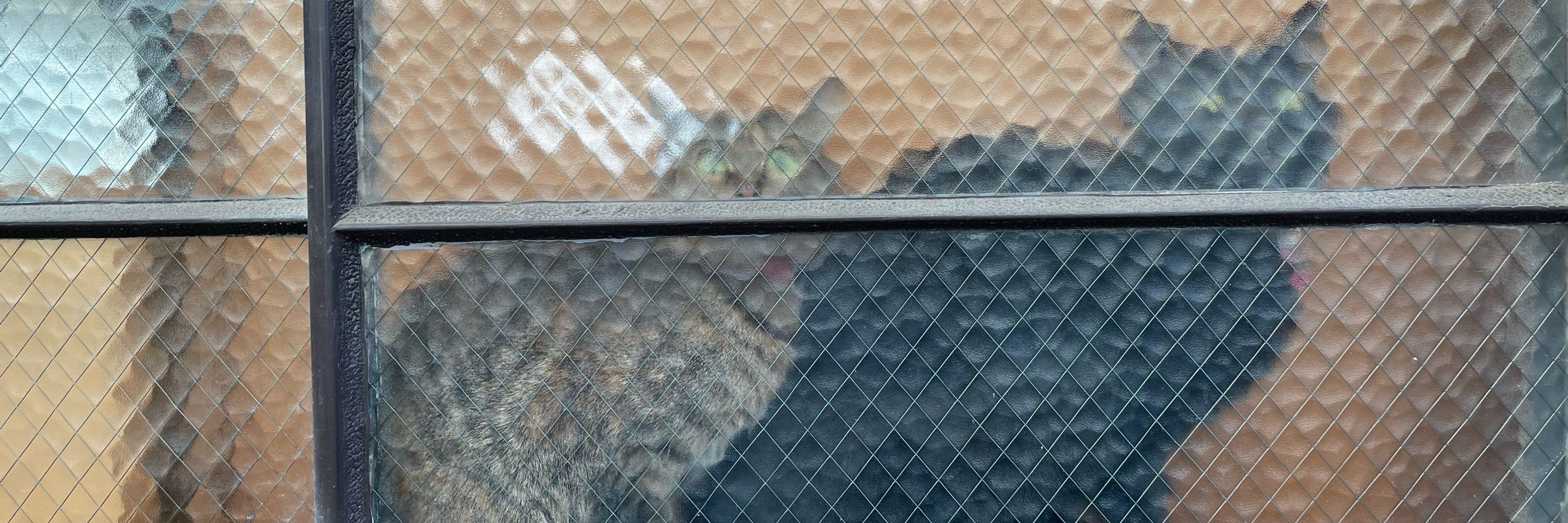 げそちん