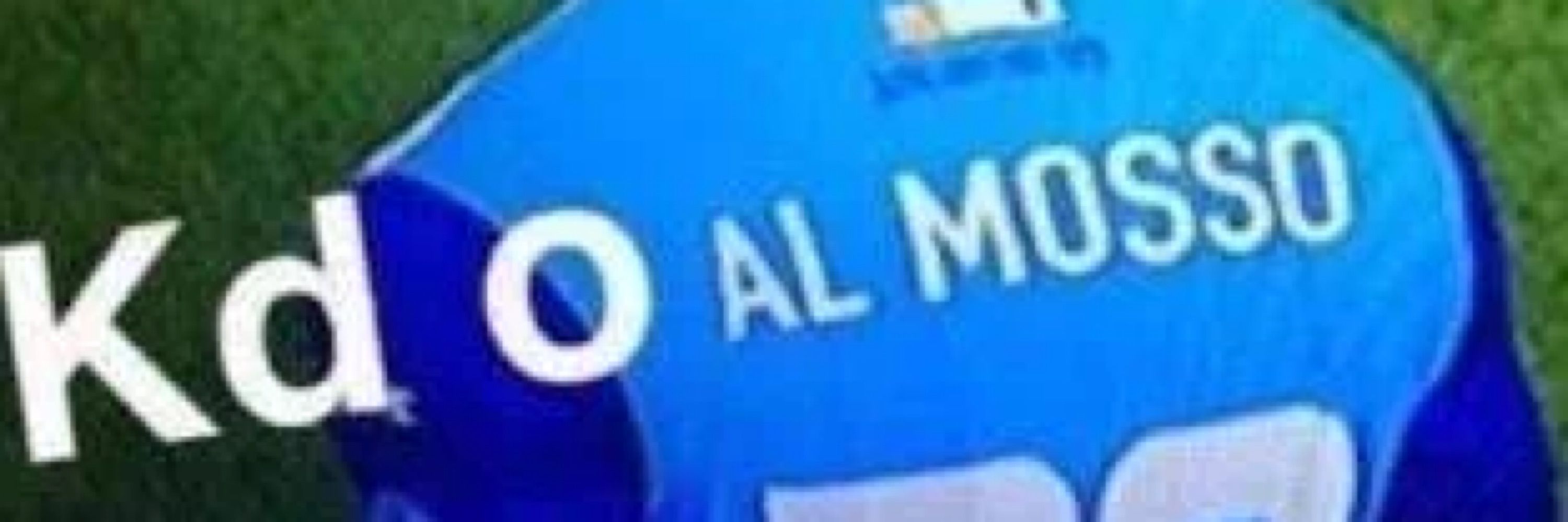 Nilmar Junior