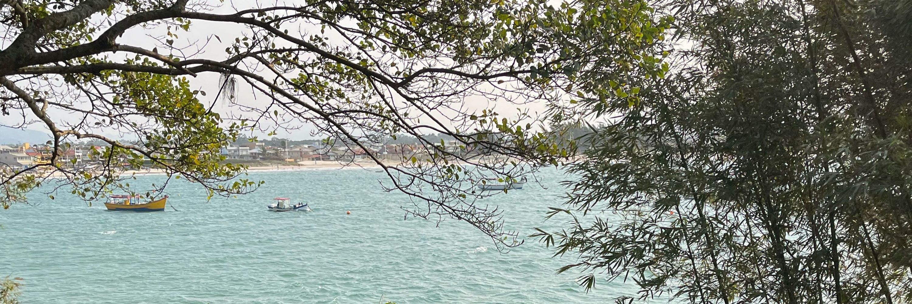 Vininho
