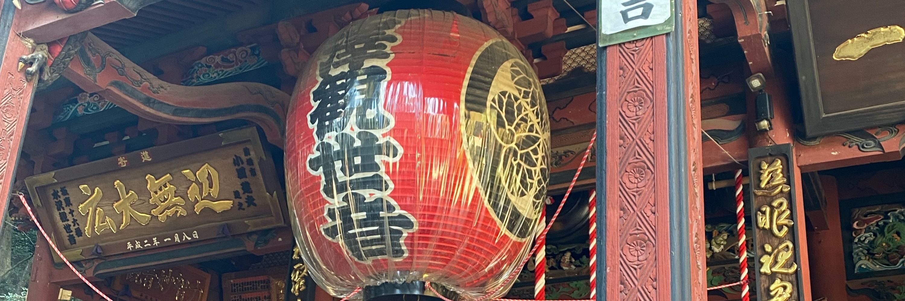 石川晃成@妙楽院