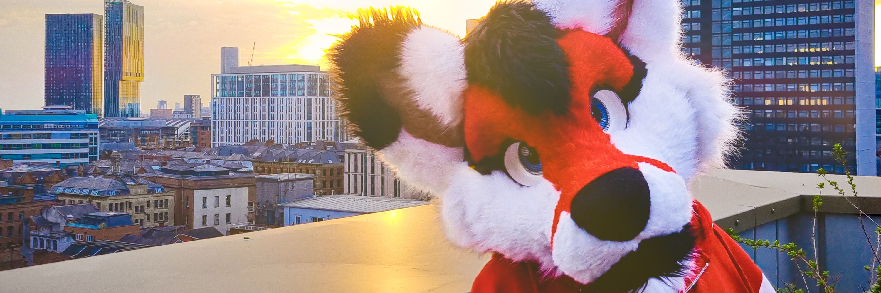 🛩 Flying G Shep 🔜 CFZ 25 🛩