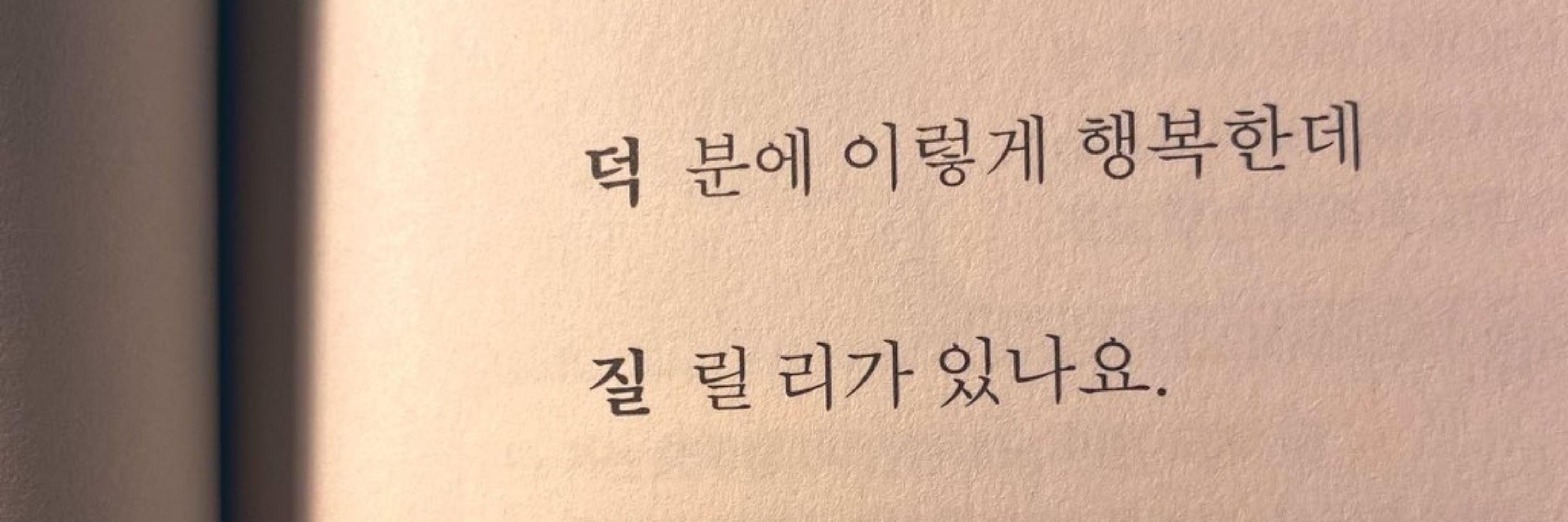 홀릭