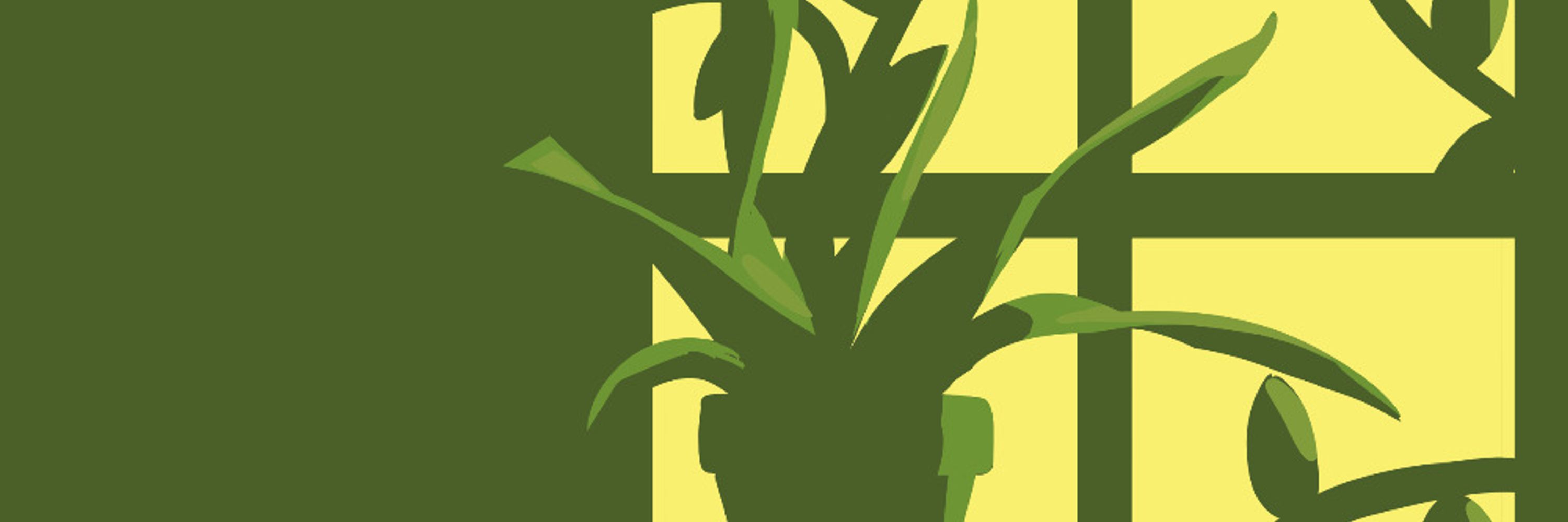 🌿Fern!🌿