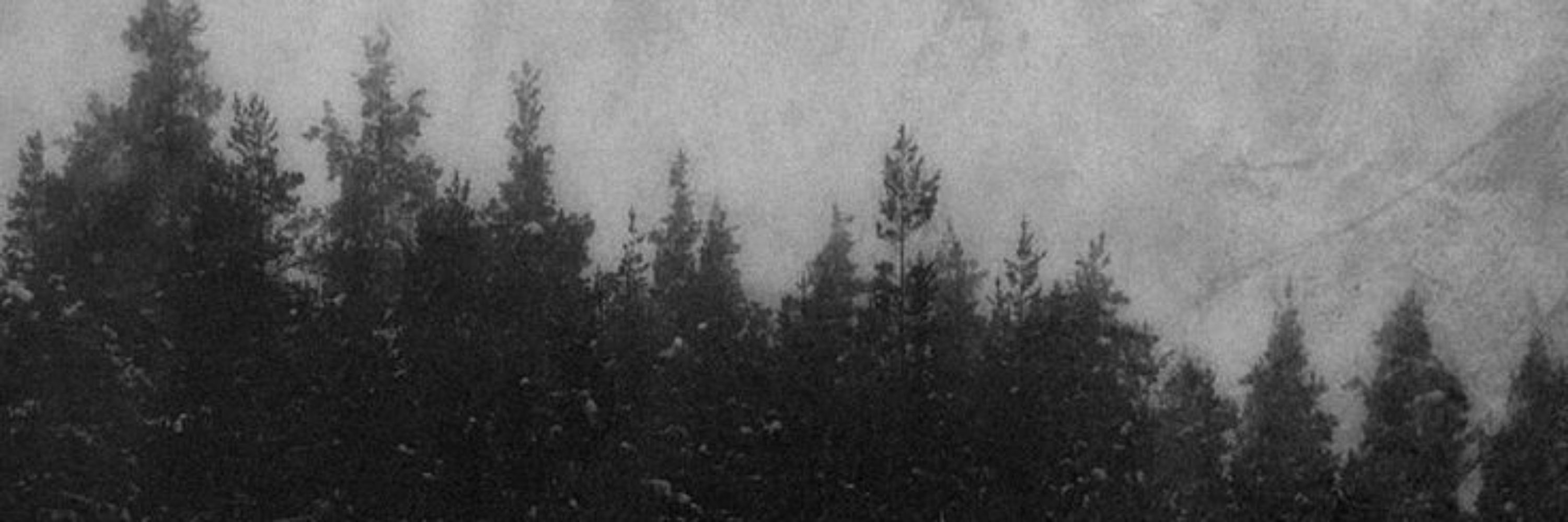 Lifelover 