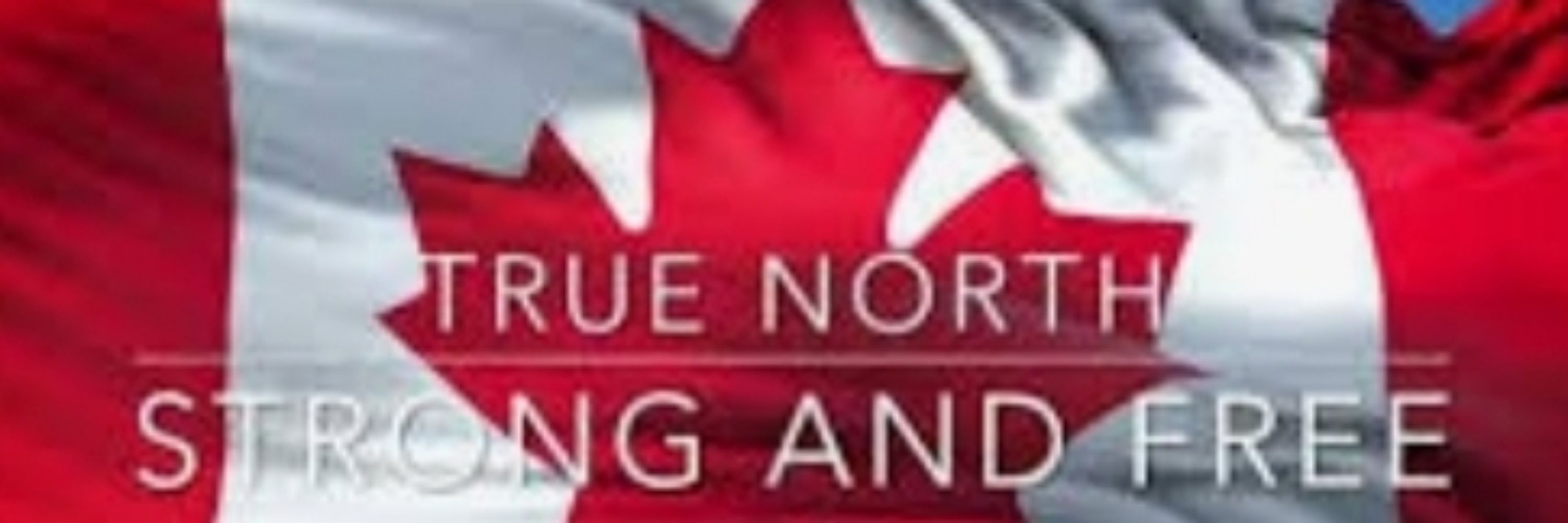  🇨🇦 🍁 🦫