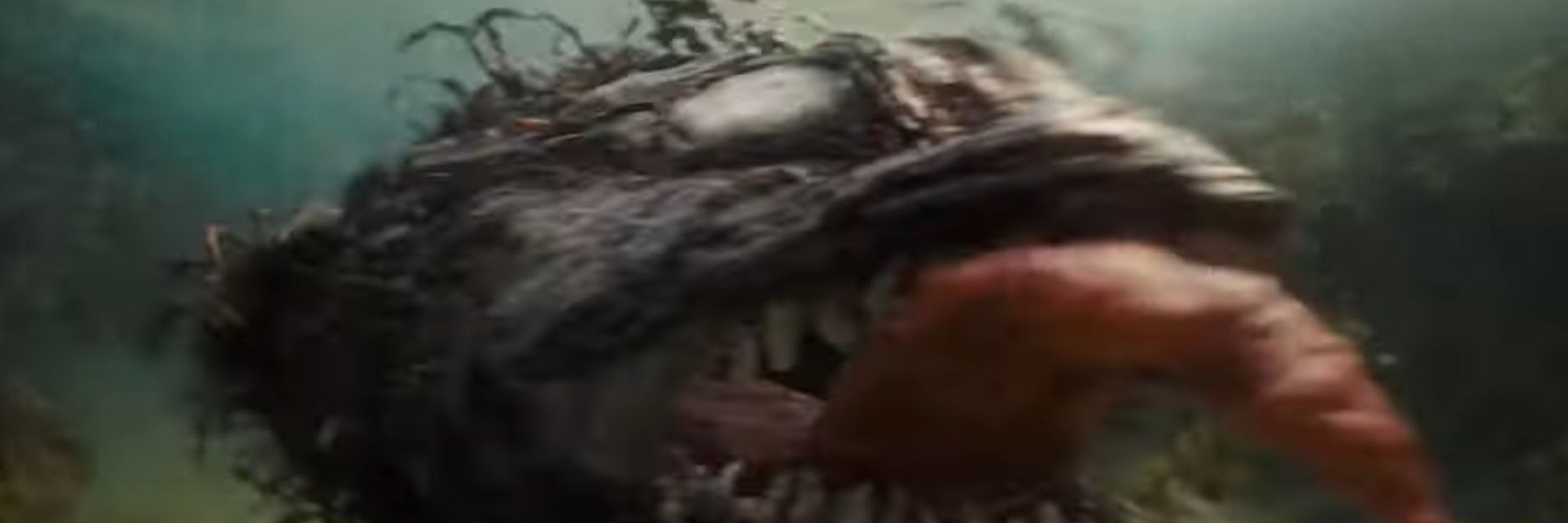 #1 venom fish stan