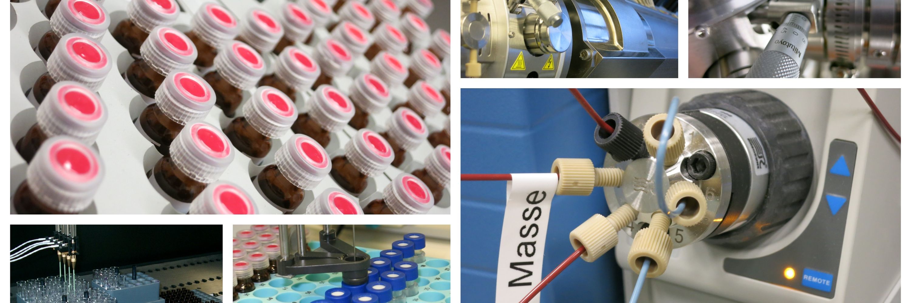 Lipidomics Lab Regensburg