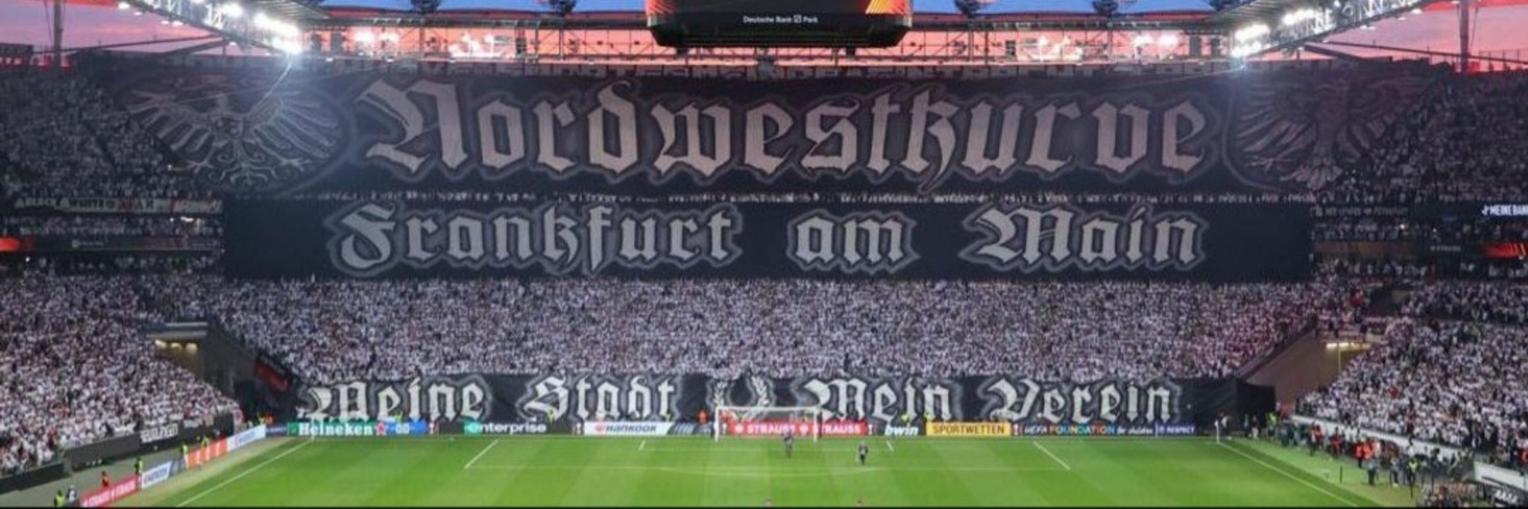 Vithu|SGE🦅