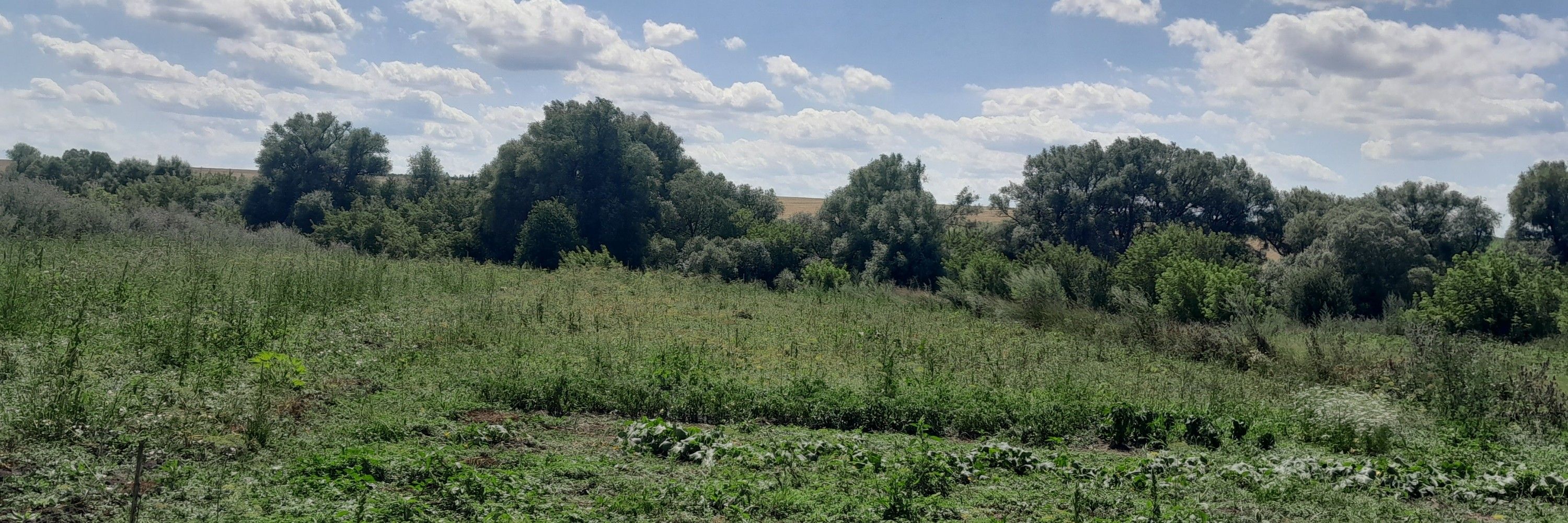 село Педоси