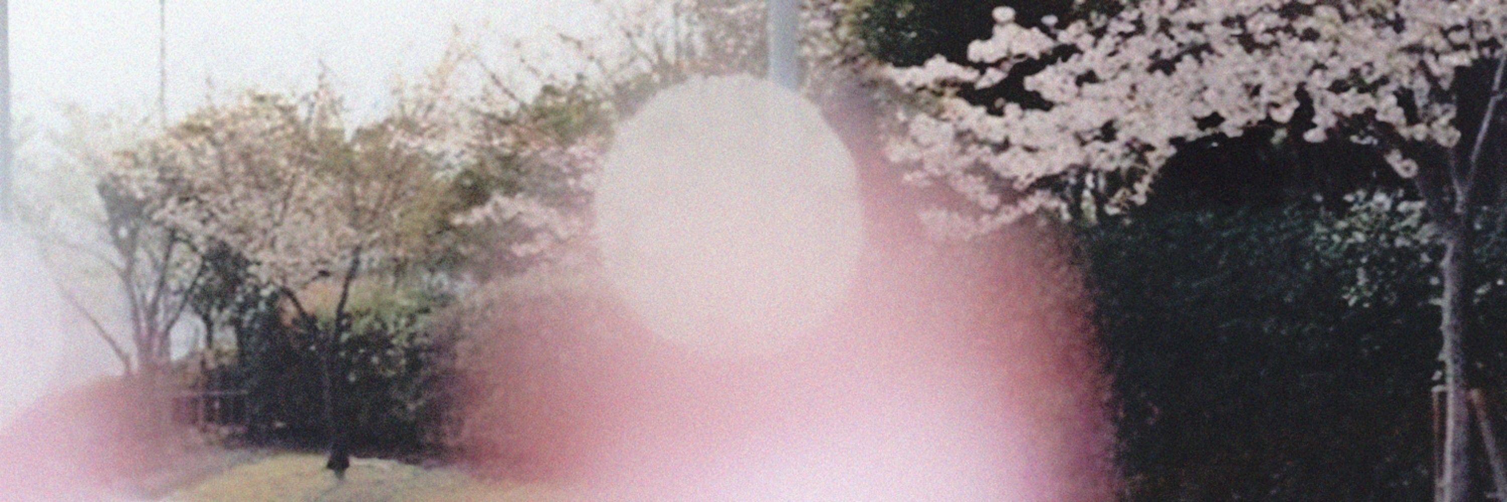 Vanii