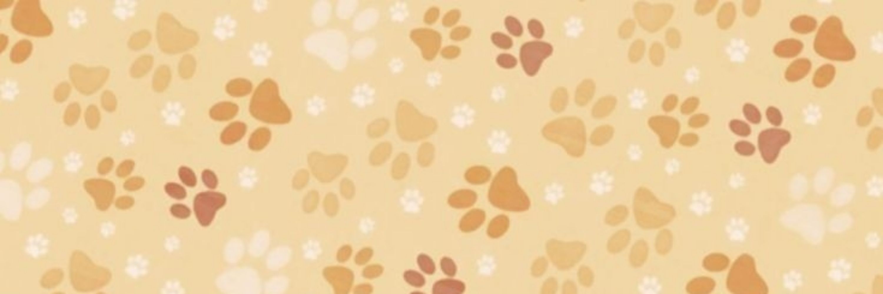 Starry Puppy