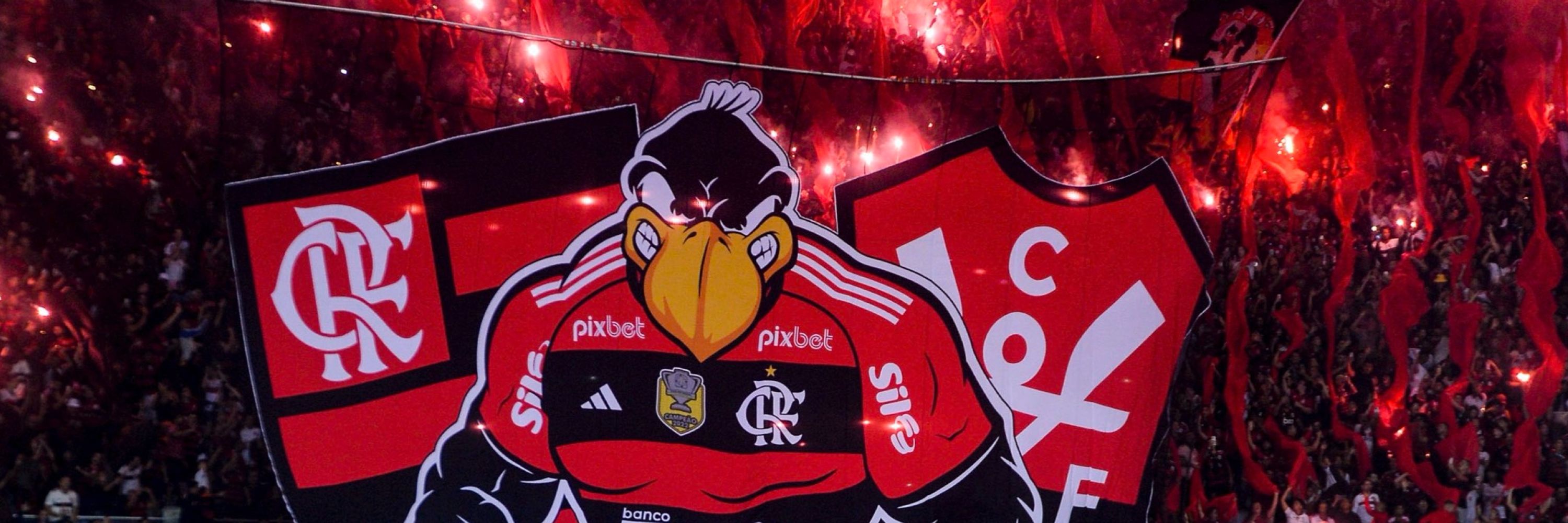 palmitinho 