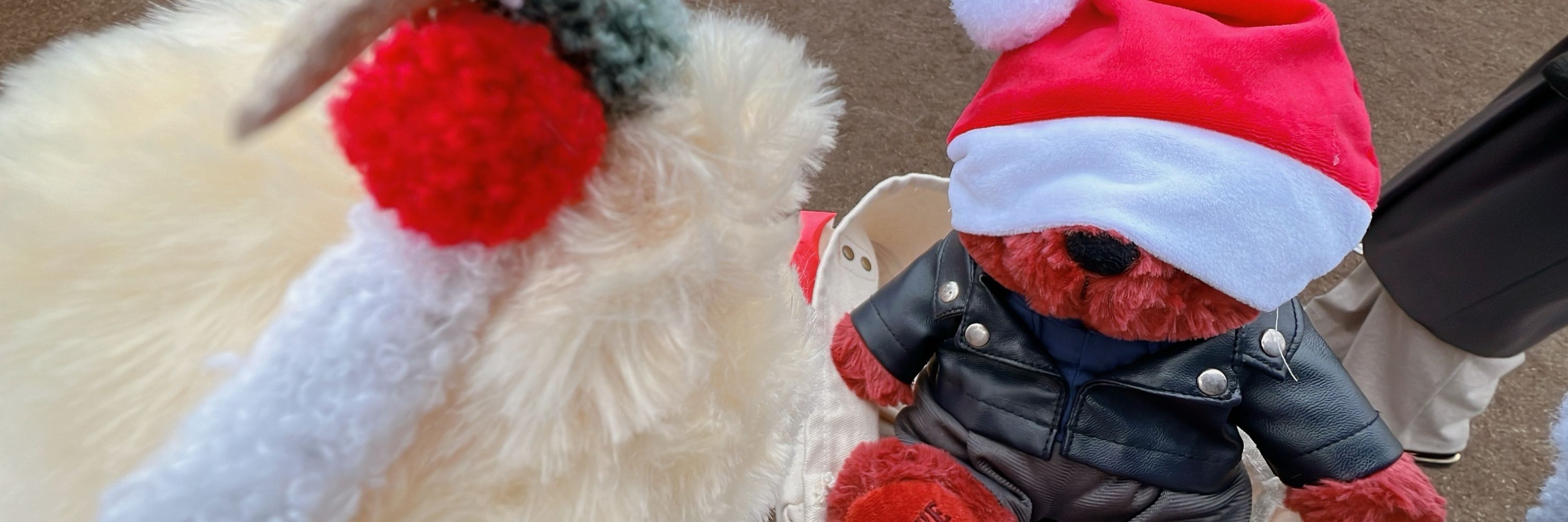 うへん🎅🏻
