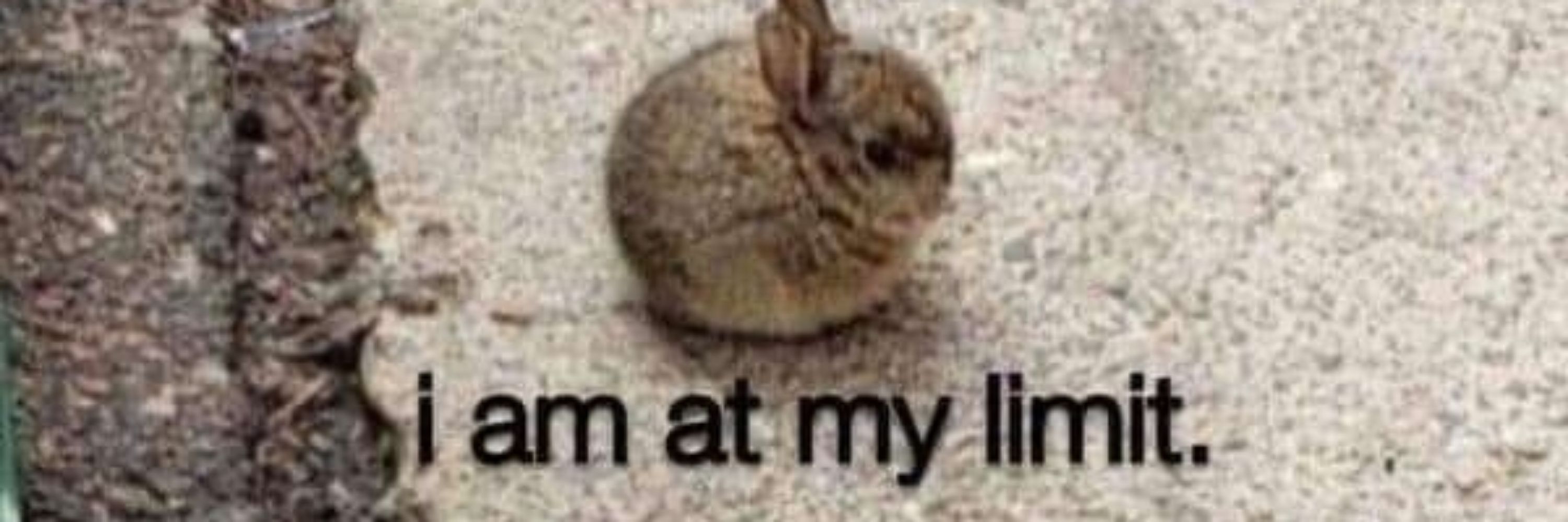 Grimmy💀🐰