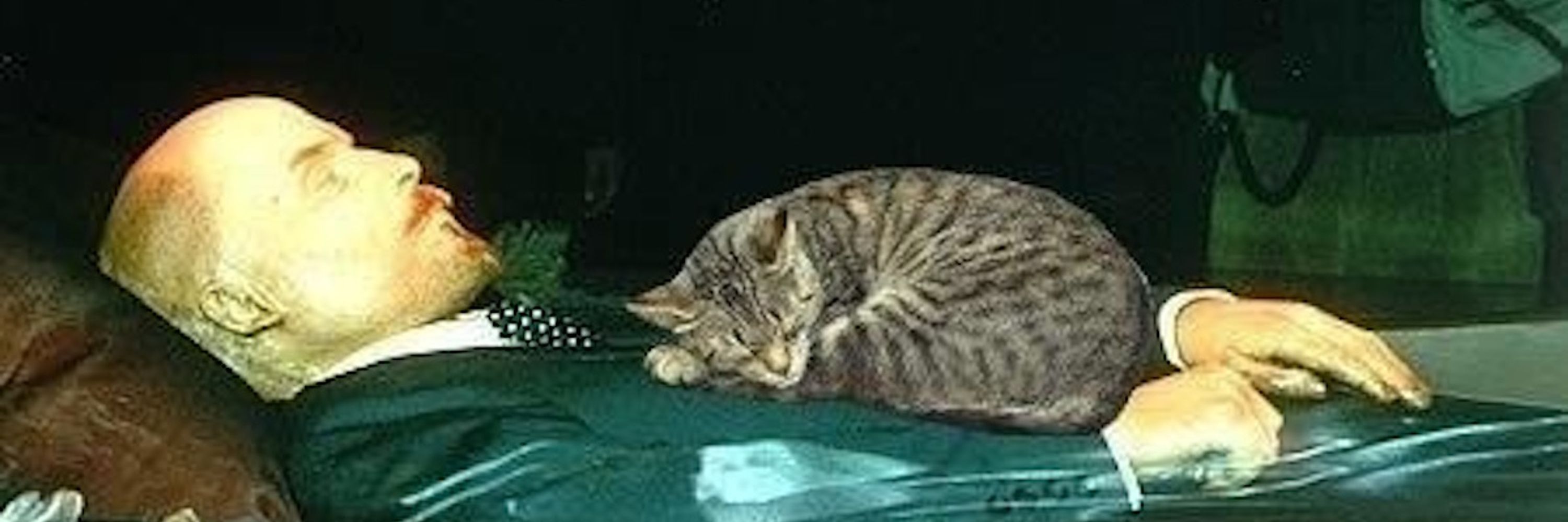Lenin's Cat