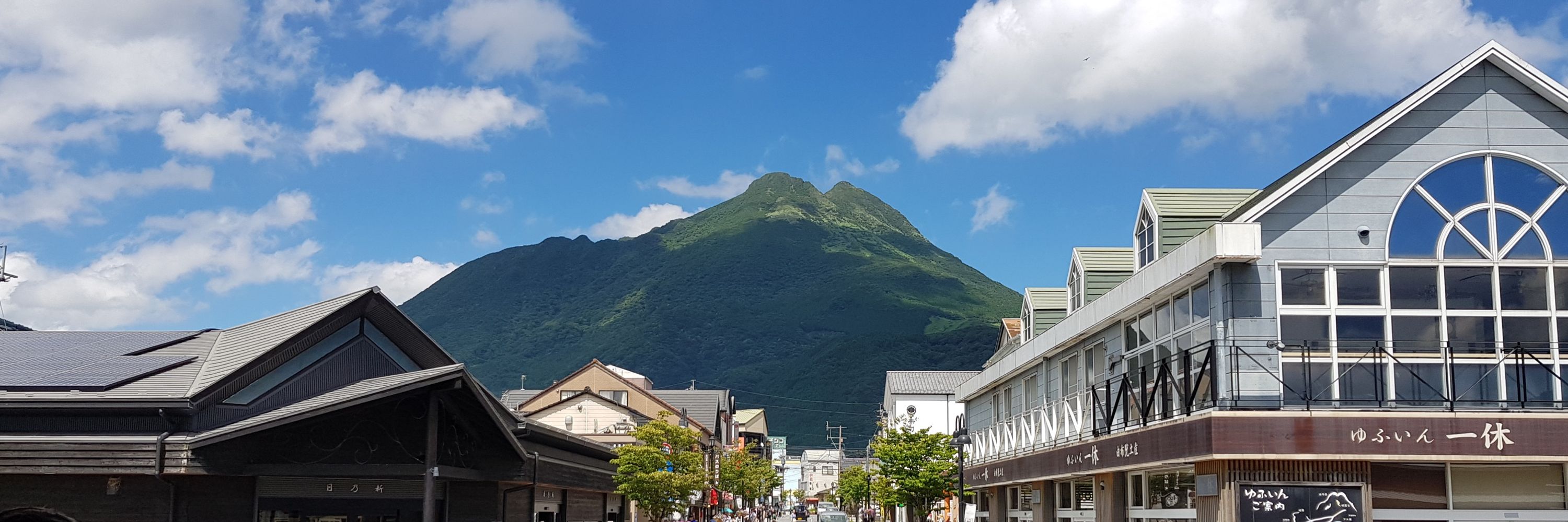 炯炯蘇