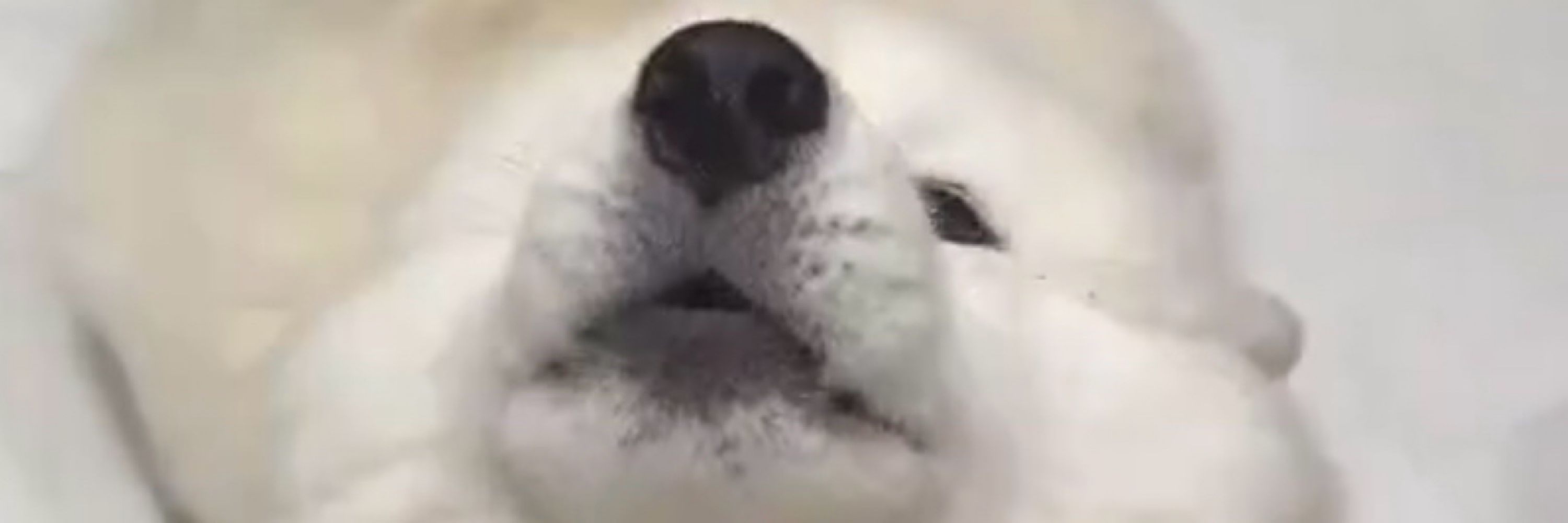 una