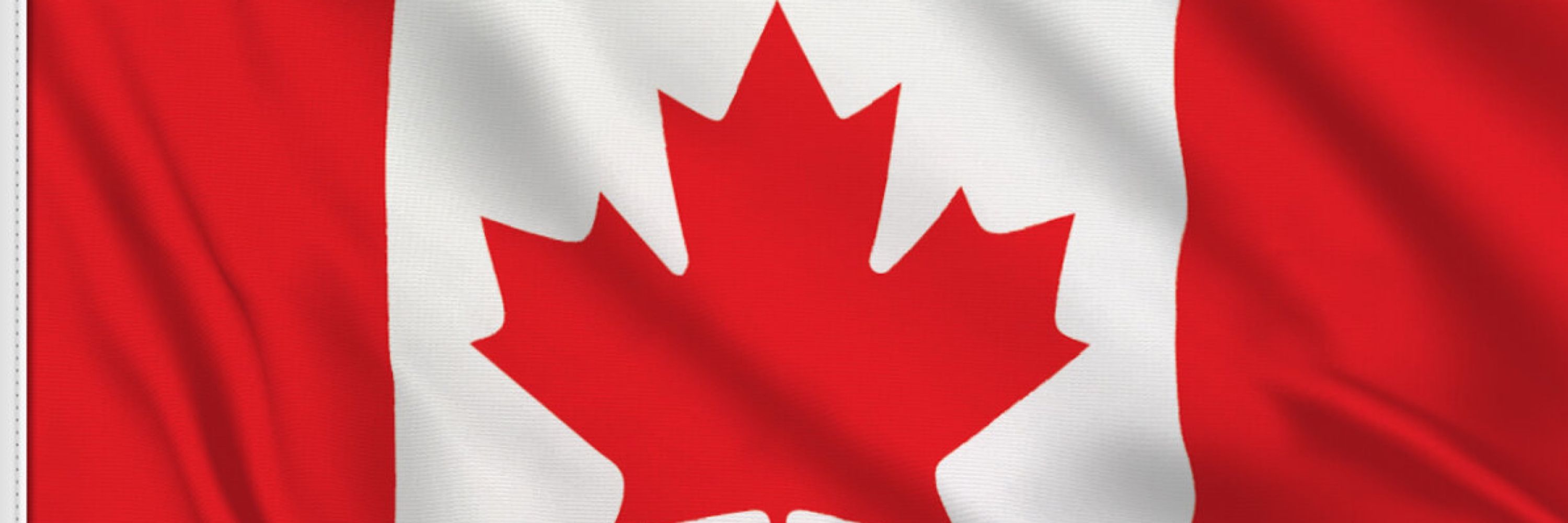 Luc 🇨🇦🏳️‍🌈 🥌